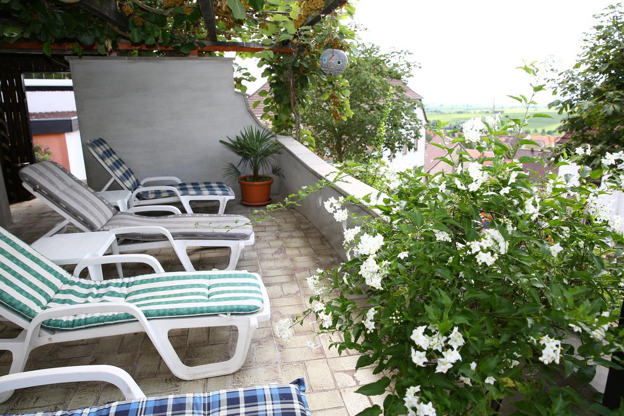 Pension Weinberg Mit Landhaus Nizza Gleisweiler المظهر الخارجي الصورة
