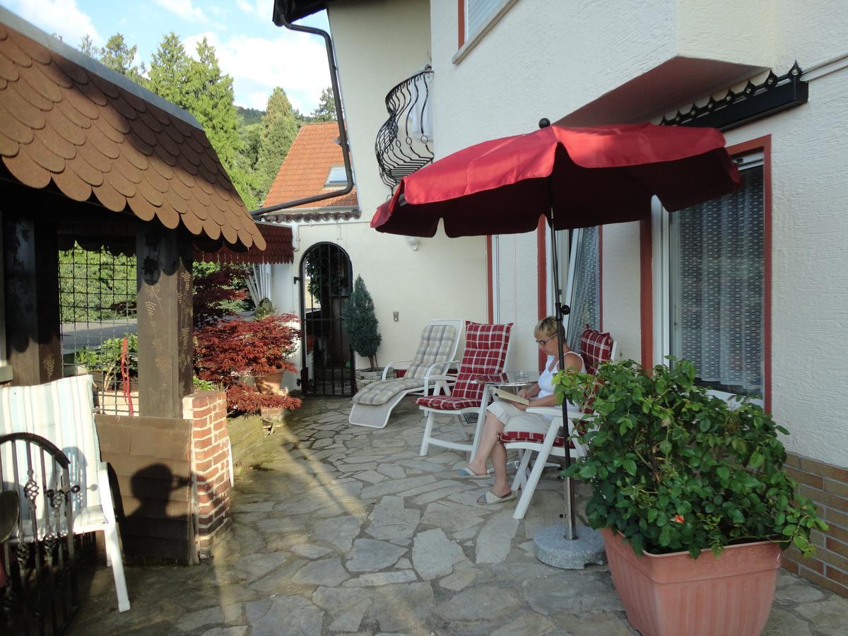 Pension Weinberg Mit Landhaus Nizza Gleisweiler المظهر الخارجي الصورة